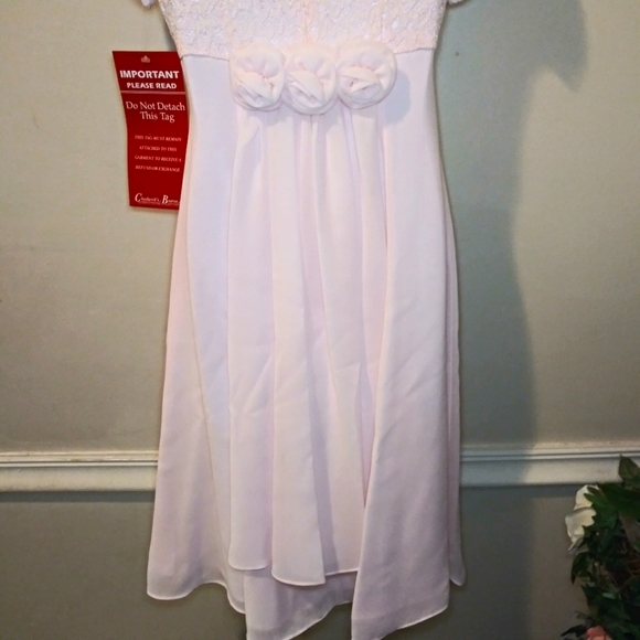 Vintage Girl's Lanz of Salzburg Pale Pink Lace & Chiffon Special Occasion Dress - Picture 5 of 15